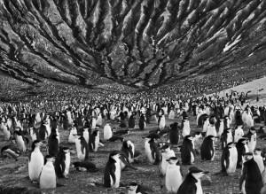 toprağın tuzu film inceleme