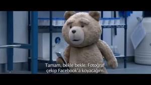 ayi-teddy-2